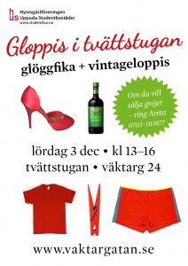 Gloppis i tvättstugan - 3 dec 2011